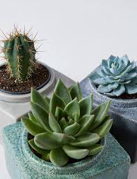 I am getting requests about mobiles and buying individual pieces for diy mobiles daily. Cacti Succulent Trio M S