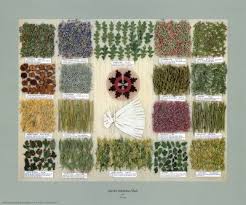 navajo medicine today has remained preserved for millennia as many navajo people have relied on traditional medicinal pra healing herbs nativity herbal healing