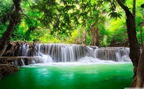 Hd natural windows 10 wallpaper pack outdoor amazing gardens nature images. 2880x1800 Green Tropical Waterfall 4k Hd Desktop Wallpaper For 4k Ultra Hd Waterfall Waterfall Wallpaper Waterfall Photo