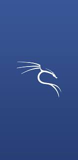 Kali linux wallpapers and stock photos. Kali Linux Phone Wallpapers Top Free Kali Linux Phone Backgrounds Wallpaperaccess