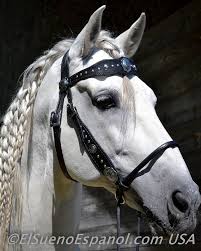 Tickled Fancy Tickled Fancy Horses