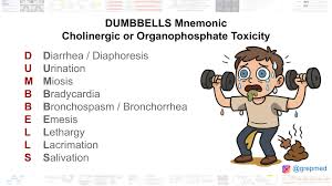 Image result for Cholinergic Toxicity
