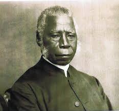 Image result for Pycreus fluminalis