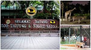 Zoo negara 2019 kuala lumpur malaysia. Sekurang Kurangnya Rm42j Untuk Upgrade Zoo Taiping Perlu Lebih Ramai Pengunjung Jom Support