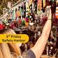 Safety Harbor 3rd Friday – November 21, 2025... event in Safety Harbor, FL