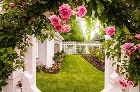 Gambar pemandangan indah dengan crayon google has many special features to help you find exactly what youre looking for. Gerbang Taman Bunga Mawar Yang Indah Latar Belakang Spring Kain Vinil Komputer Berkualitas Tinggi Pernikahan Motif Latar Belakang Background Aliexpress