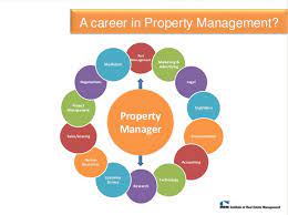 Property management software comes in a wide range of prices. The Basic Principles Of Property And Sports Agents My Sql Lover