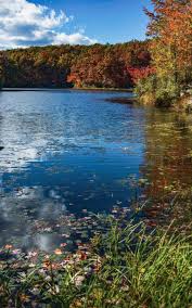 Check spelling or type a new query. Notebook West Virginia Appalachian Mountains Eastern United States 5 X 8 150 Ruled Pages Wild Pages Press 9781076989871 Amazon Com Books