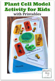 We did not find results for: Plant Cell Model Activity For Kids With Printables To Use