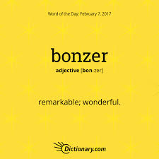 Try Using Today S Word Of The Day In A Sentence A Bonzer Sentence If You Can Wotd Wordoftheday Dictionarycom Words Weird Words Words Dictionary Words