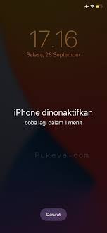 Arti iPhone is Disabled Connect to iTunes atau iPhone Dinonaktifkan Sambungkan ke iTunes | PUKEVA