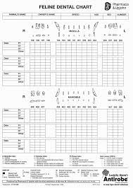 78 Symbolic Pfizer Dental Chart