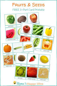 Montessori Inspired Seed Study For Preschool Science Seeds Preschool Fruit Preschool Science
