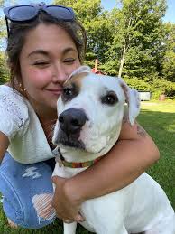 Lost dog in south carolina found safely