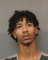 Region crime roundup: Trio kicked pregnant woman's stomach, pistol-whipped  man and robbed them of puppy, police say