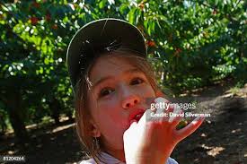 65 David Liss Stock Photos, High-Res Pictures, and Images