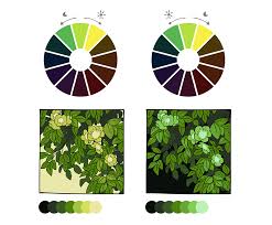 Tertiary colors are colors made by combining a secondary color with a primary color. Guide To Creating Color Schemes Art Rocket