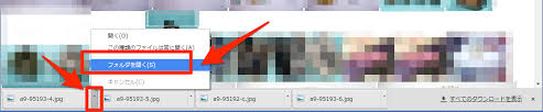 Image Downloaderを使った楽天csvから画像を一括ダウンロードする方法 Shins