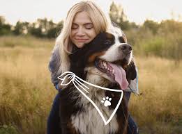 The Most Popular Female Dog Names Of 2019 In Canada The Dog People Ca