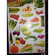 Gratis untuk komersial tidak perlu kredit bebas hak cipta. Poster Edukasi Anak Vegetables Sayuran Warna Gambar Sayur Mayur Bilingual Indonesia Inggris Shopee Indonesia
