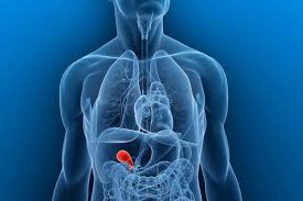 Gallbladder Function Problems Healthy Diet Live Science