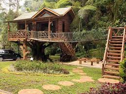 Melihatnya pun mungkin sudah sering, meski hanya lewat tv ataupun film tarzan. Rumah Pohon Taman Safari Lodge Akomodasi Unik Di Puncak Bogor