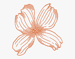 Burnt Orange Flower Svg Clip Arts Dogwood Clip Art Hd Png Download Transparent Png Image Pngitem