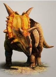 Xenoceratops Alien Horned Face 2 Ton 20 Foot Long Horned Dinosaur Distant Cousin Of The Triceratops Found In Canada Dinosaurus Prehistorie Prehistorisch