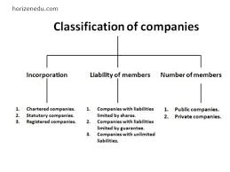Type Of Company Definition Origin Features Education Public Company Finance