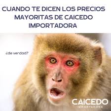 CAICEDO Importadora (@caicedo_importadora) · Instagram 照片和视频