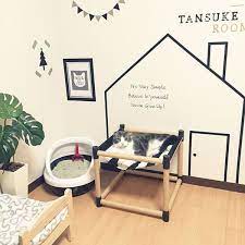 cat room inspiration sweet surprise for your furry friend cat room diy modern kids room cat room