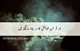 Pin By Mrs Sohail On Quotes In Urdu Deep Words Wise Quotes More Than Words