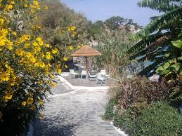 Kreativ zubereitet, ob als smoothie, suppe, salat, pasta oder kuchen buch von kirstin knufmann Lemonakia Restaurant Dimitris Stefanidis On Lemonakia Beach Samos Startseite Facebook