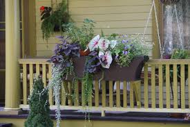 Bring a taste of the tropics to your garden with gorgeous canna bulbs from burpee. Window Boxes That Wow Page 3 Of 3 Planters Place