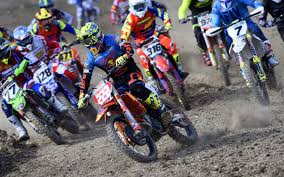 Check spelling or type a new query. Mx Large