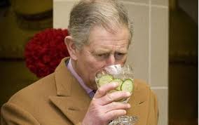 Prince Charles sips gin on distillery tour
