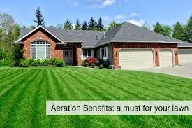 Aeration will help to relieve the soil compaction, which will allow for deeper plant roots and better use of water and nutrients. What Is Lawn Aeration Definition And Benefits
