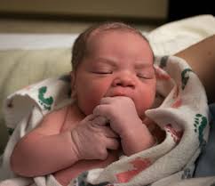 Selective Focus: Sweet