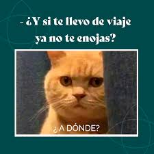 Si me llevas no me enojo 😂