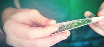 The best rolling papers, a great herb grinder, rolling tips, cannabis, a poker of some kind, etc. How To Perfectly Light Your Joint Zamnesia Blog