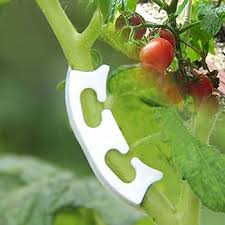 Brave Tour प्लांट बेंडर, कम तनाव प्रशिक्षण के लिए प्लांट ट्रेनिंग, शाखाएं  बेंडर झुकने क्लिप्स प्लांट सपोर्ट क्लिप्स टहनी क्लैंप, पौधों की ...