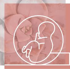 Tips En Adviezen Verloskundigenpraktijk Laif