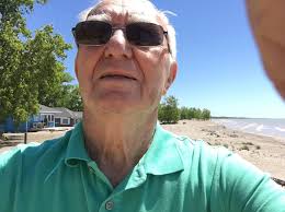 Why was the top of the old Mulberry tree in Annapolis, MD cut off?