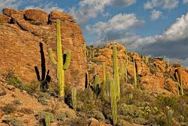 Take exit 257 toward speedway 1. 5 Best Camping Spots Near Tucson Arizona