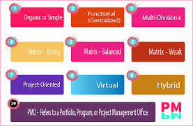 functional organizational structure better explained