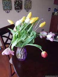 Avasflowers Reviews Flowers Shouldn T Bring Disappointment My Husband Ordered A Bouquet From Them Of 20 Tu Tulips Arrangement Wilted Flowers Avas Flowers