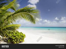 Barbados excitement has something for all ages and. Summer On Barbados Image Photo Free Trial Bigstock
