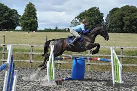 Maybe you would like to learn more about one of these? Izzy Taylor S Cross Country Secrets Horse And Rider