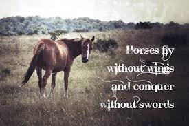 We did not find results for: Horse Quotes Wallpapers Wallpaper Cave