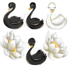 Baby Swan Clipart Black And White Wild Swans Clipart Clip Art Graphic Illustration Magnet Wedding Invitations